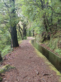 Laurasilva, Madeira, Sunrise, Private Jeep Tour