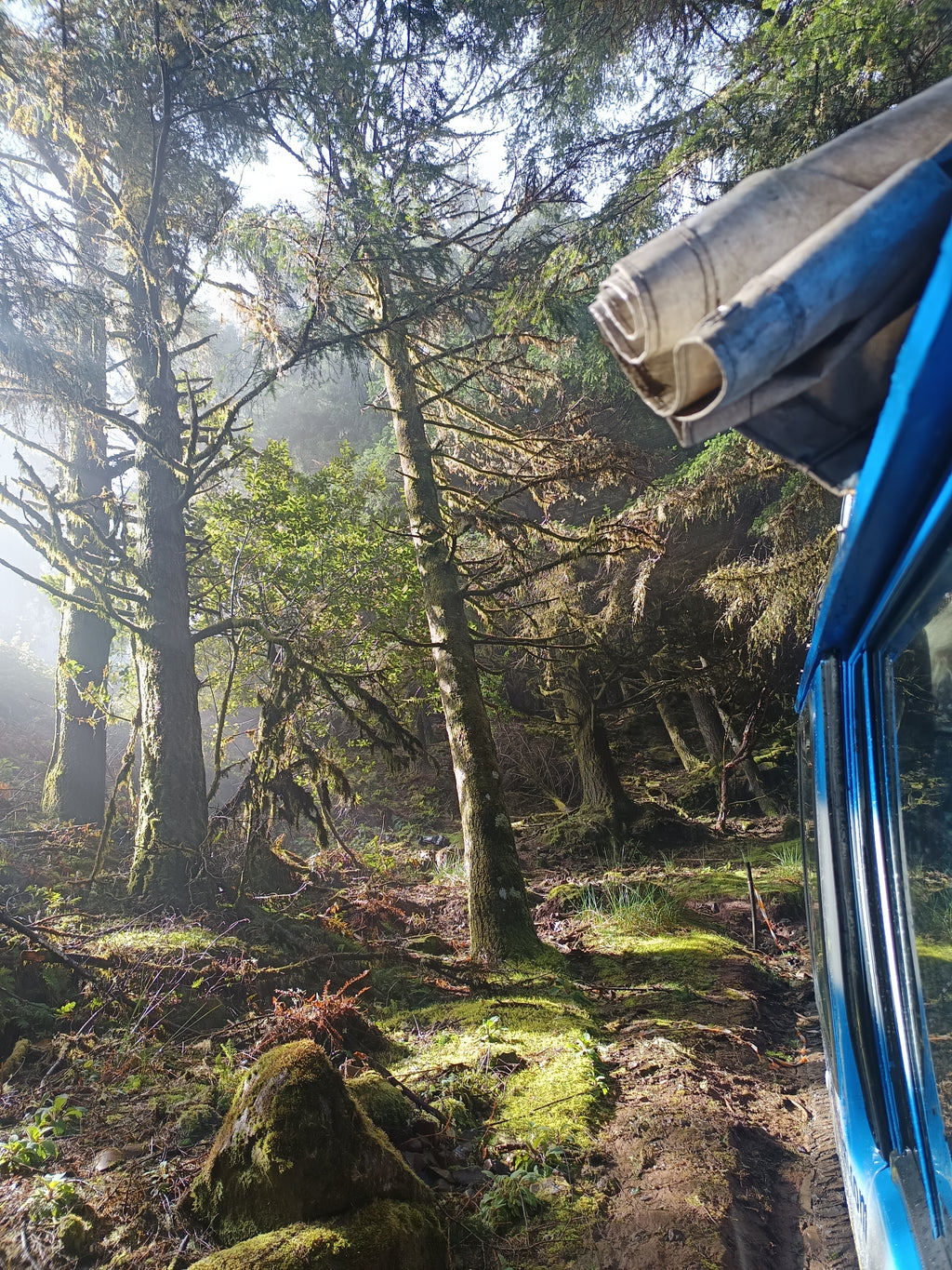 Laurasilva, Madeira, Sunrise, Private Jeep Tour