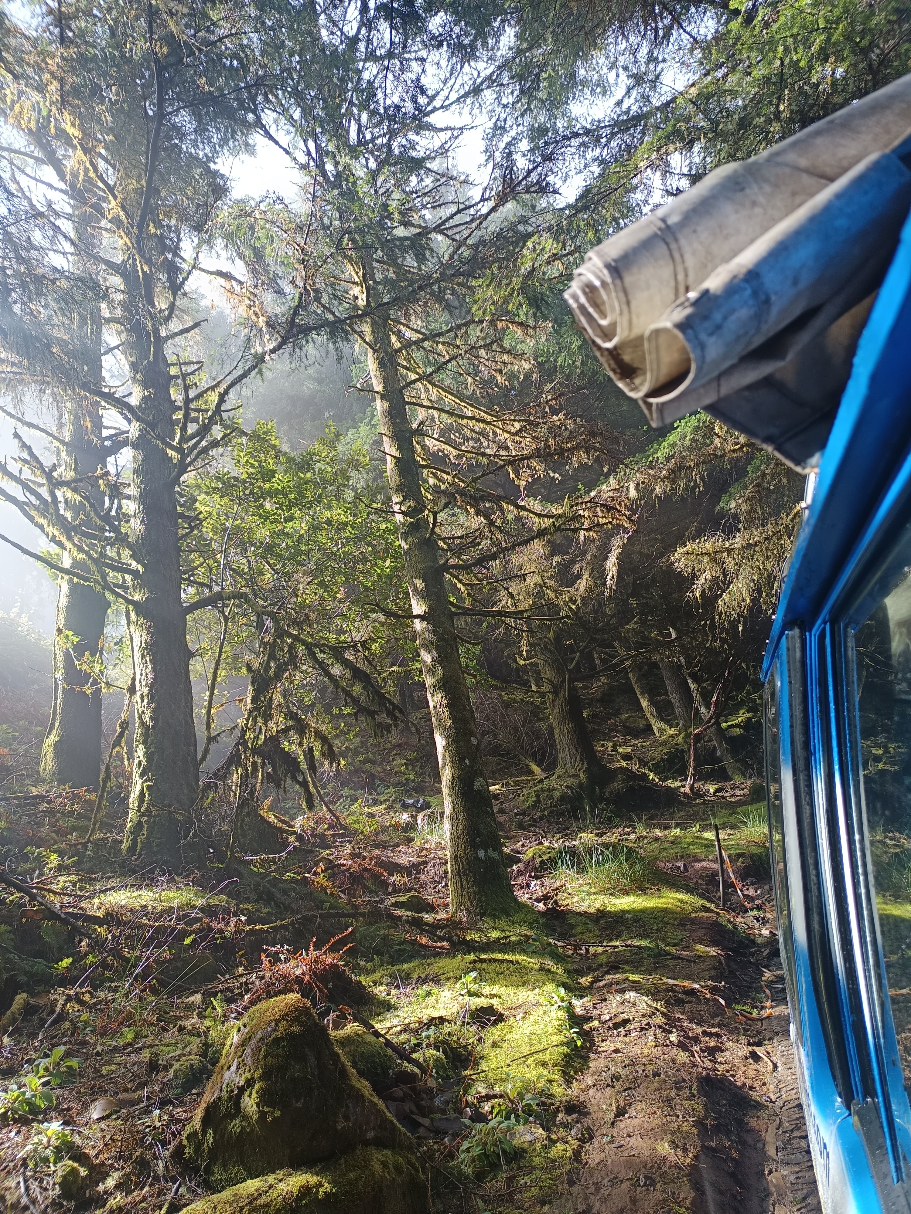 Laurasilva, Madeira, Sunrise, Private Jeep Tour